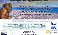 Proyecto_MinoTauro-25-26-mayo-19